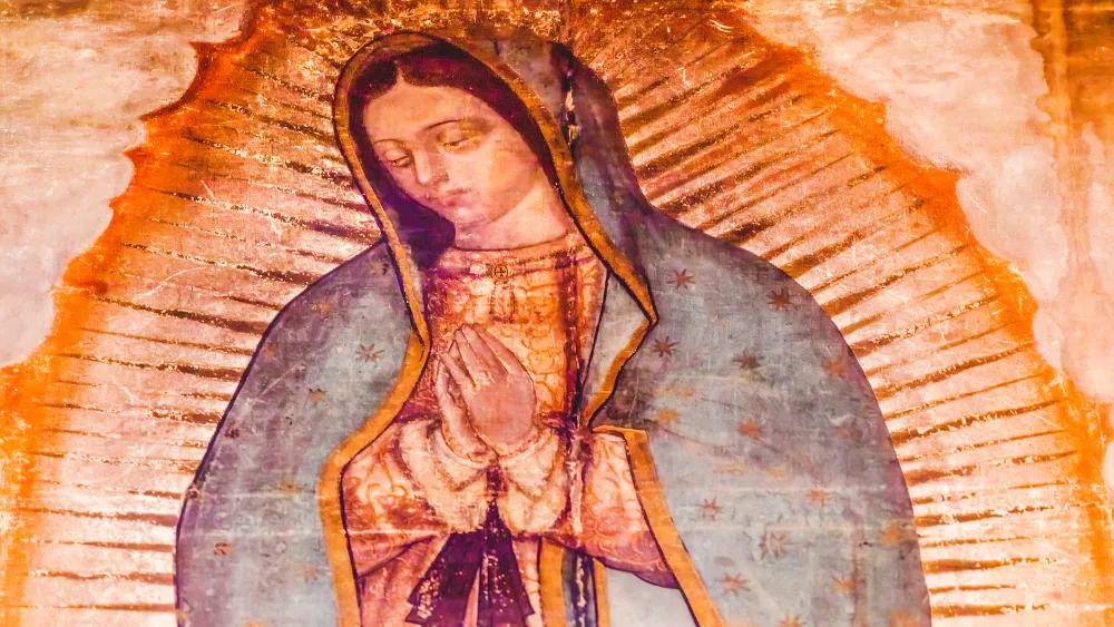 la TILMA DE LA VIRGEN