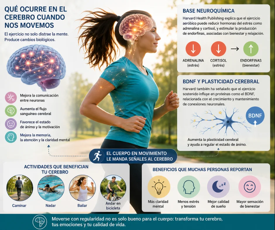 El ejercicio no solo distrae la mente. Produce cambios biológicos.