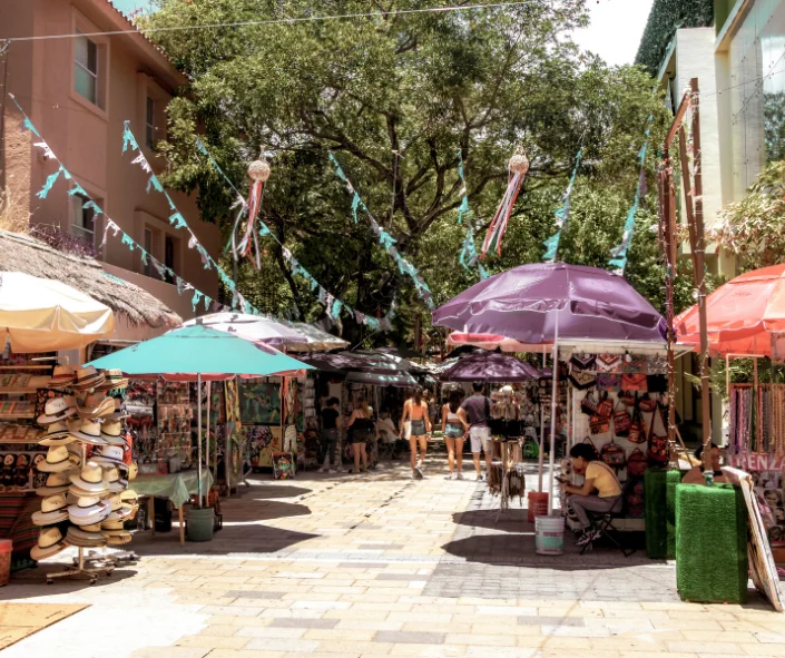 Quinta Avenida- gastronomía, compras y vida nocturna