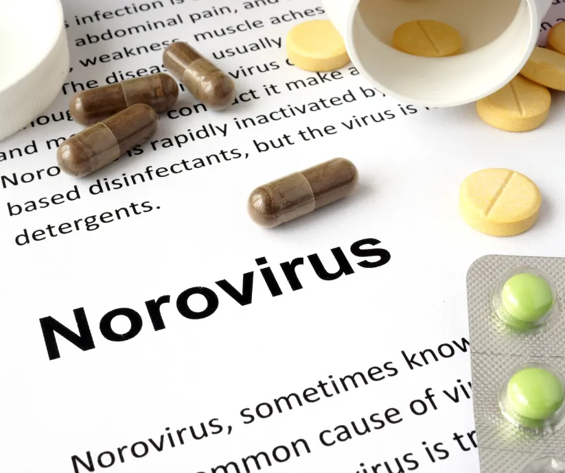 norovirus2