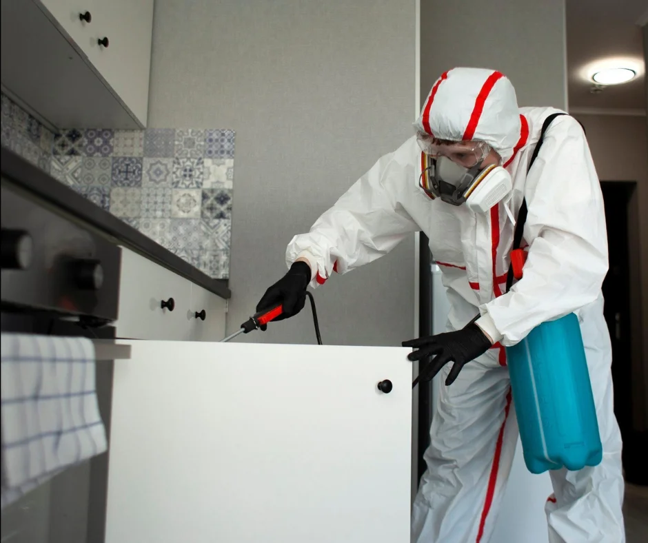 Se previene con información- control de roedores, limpieza húmeda, ventilación y atención médica temprana si aparecen síntomas tras una posible exposición.