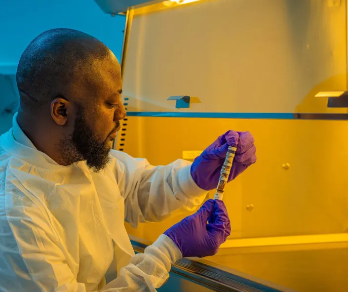 lanzamiento semillas