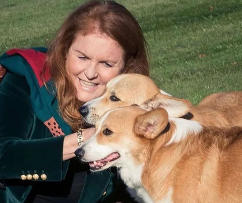 sarah ferguson y los corgis de la reina