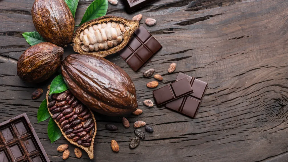 cacao y chocolate