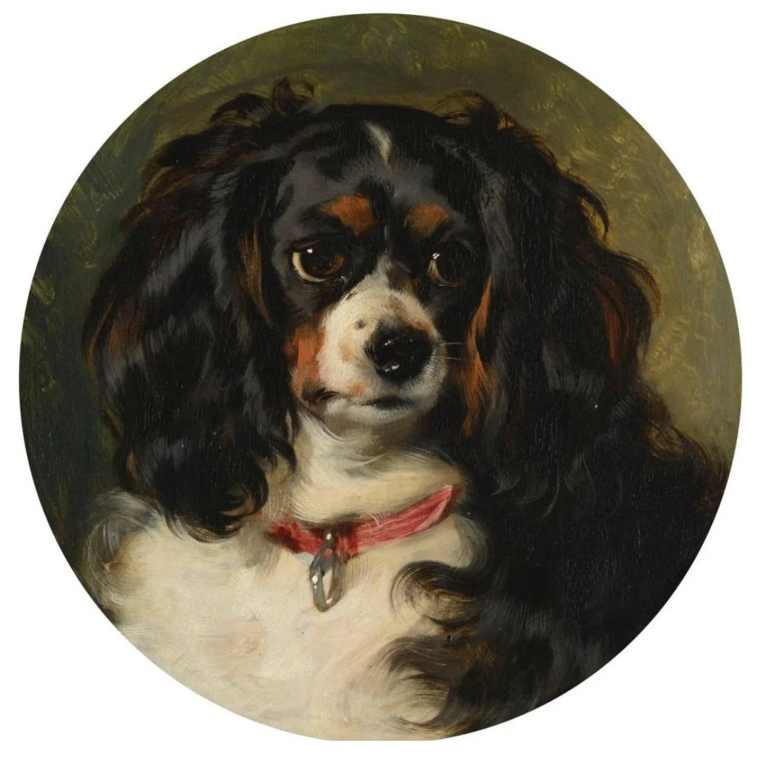 Dash, el querido spaniel de la joven reina Victoria, fue retratado en 1836 por Sir Edwin Landseer. La pintura fue un regalo de cumpleaños de su madre, la duquesa de Kent.
