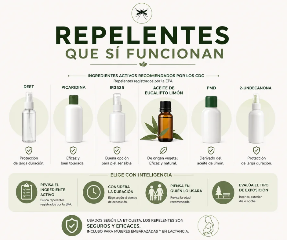 Elegir un buen repelente empieza por revisar su ingrediente activo, su duración y el tipo de exposición al que estará destinada la protección.