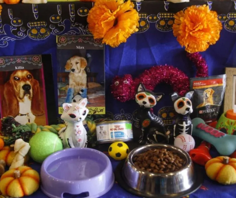 mascotas dia de muertos