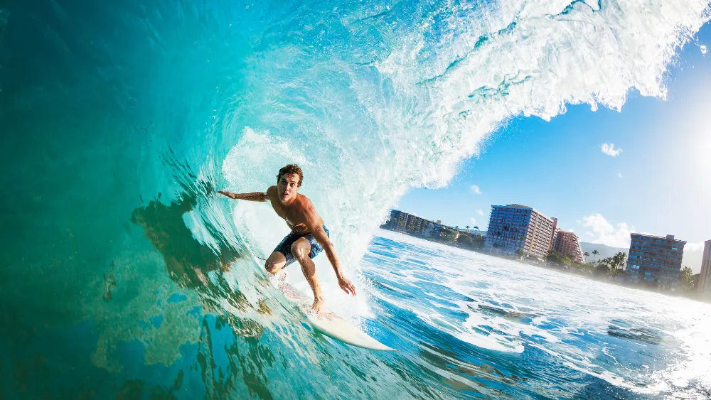 surf