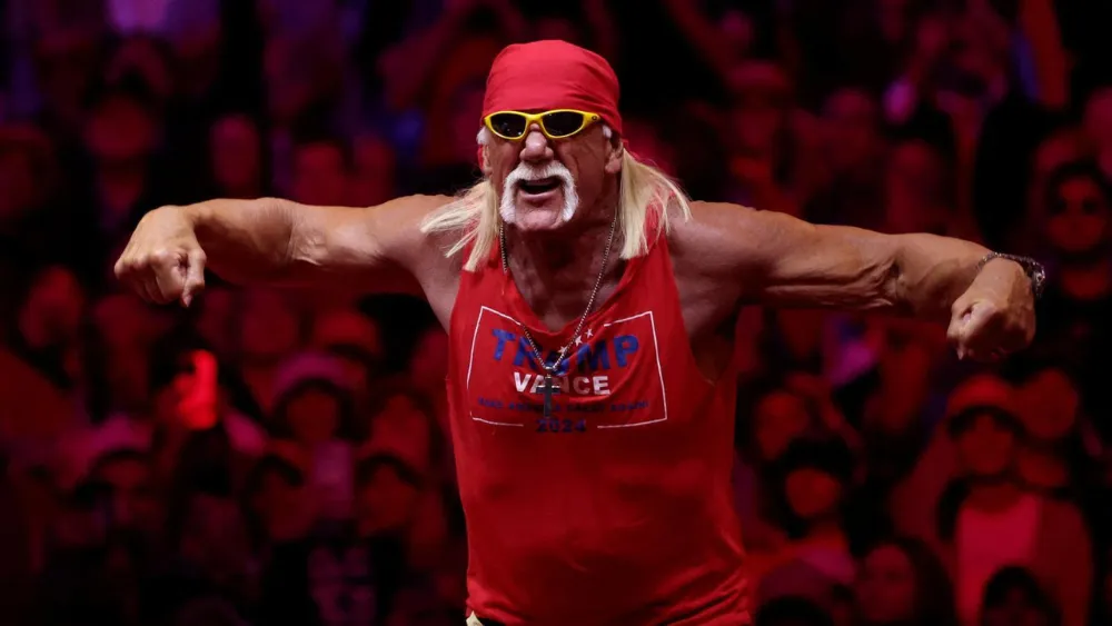 Hulk Hogan 2