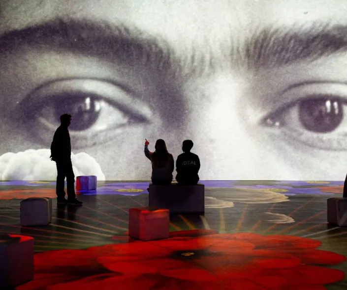 Frida exhibición inmersiva 2