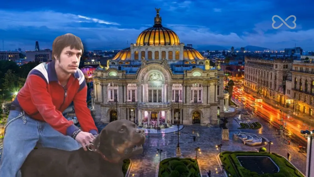 amores perros en bellas artes