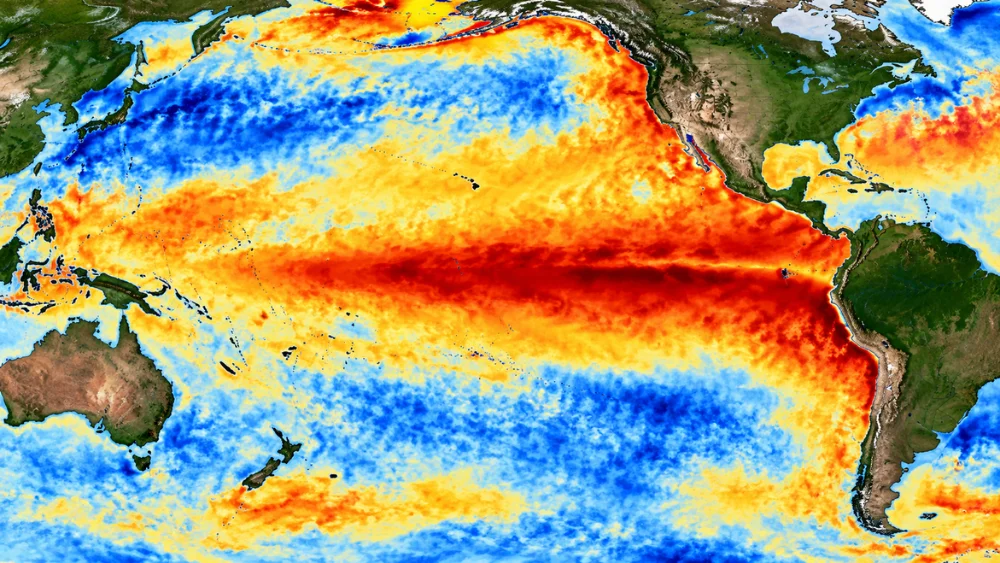Las anomalías de temperatura del Pacífico ecuatorial permiten observar la extensión del calentamiento asociado con El Niño. Fuente- NOAA.