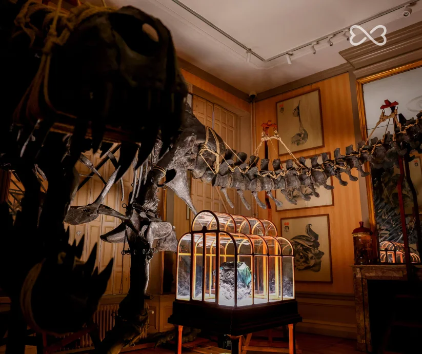 El bolso más exclusivos del mundo es de dinosauario