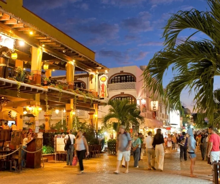 Quinta Avenida- gastronomía, compras y vida nocturna 2