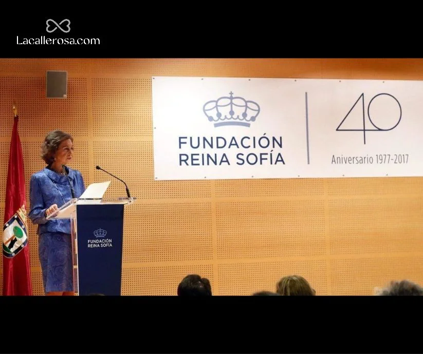 La reina Sofía pronuncia un discurso durante el 40 aniversario de la Fundación Reina Sofía, celebrado en 2017