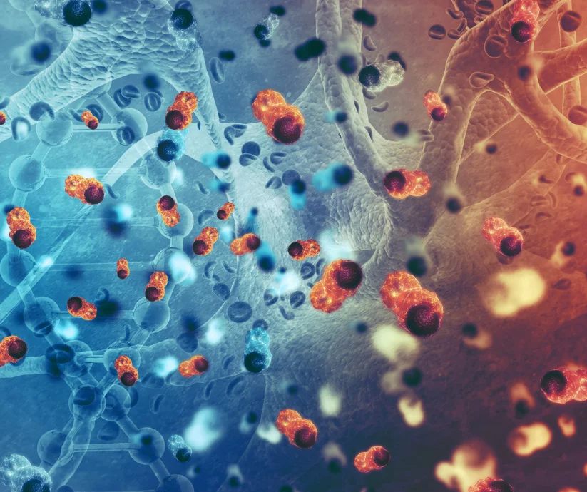 El papel específico del suplemento antioxidante en estudio