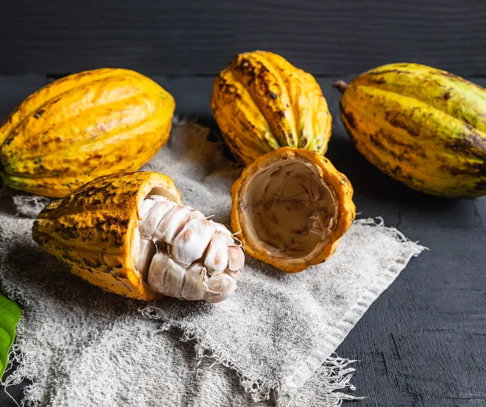 cacao