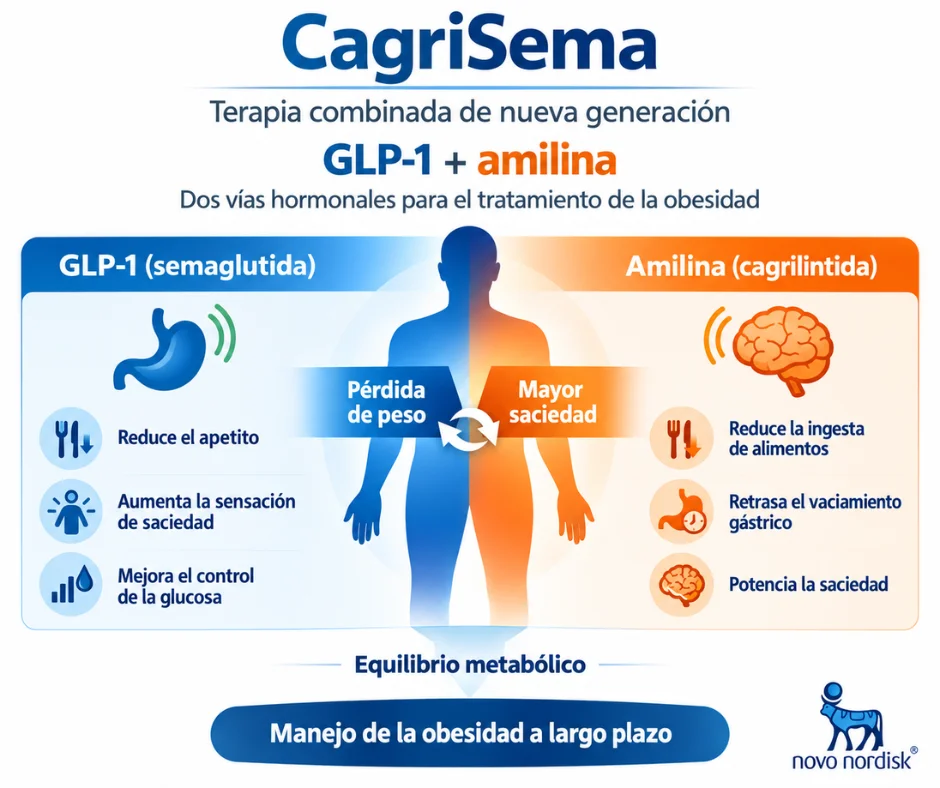 Infografía ilustrativa sobre CagriSema, una terapia en investigación que combina semaglutida y cagrilintida para el manejo del peso y la obesidad. La imagen resume sus dos vías de acción- GLP-1 y amilina.