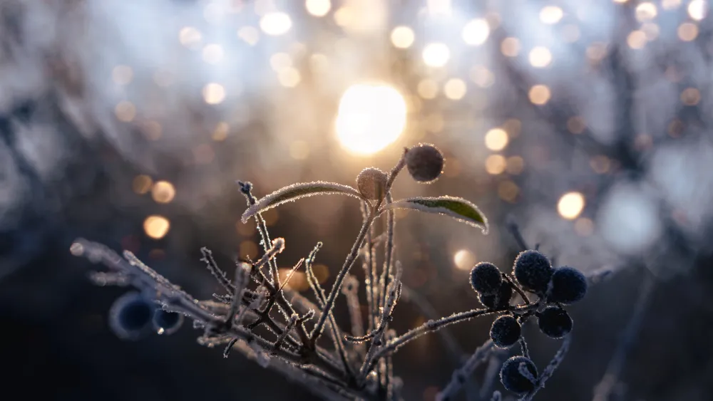 solsticio de invierno