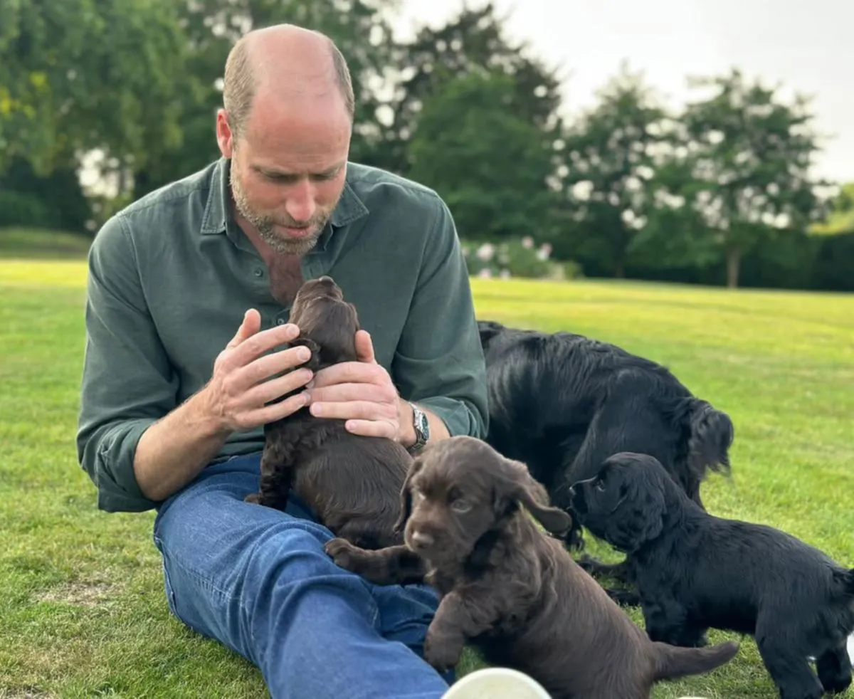 WhatsApp Image 2025-06-22 at 13.19.55