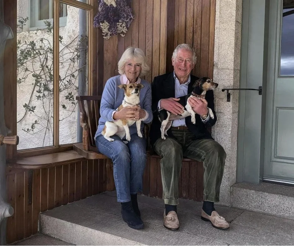 La reina Camilla y Carlos III junto a Beth y Bluebell, los dos Jack Russell Terriers que ella adoptó en Battersea Dogs & Cats Home.
