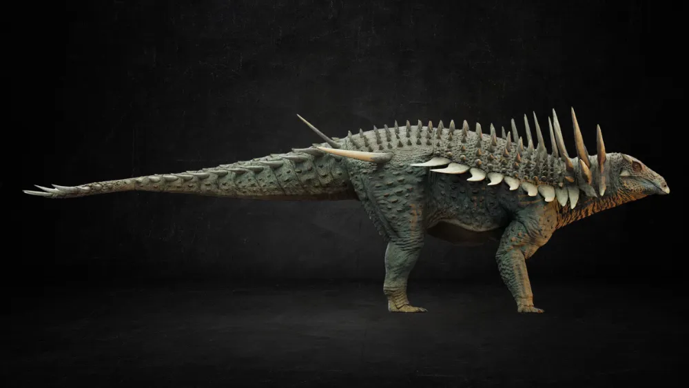 Marruecos y su legado oculto de dinosaurios