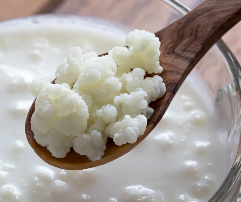 kefir casero