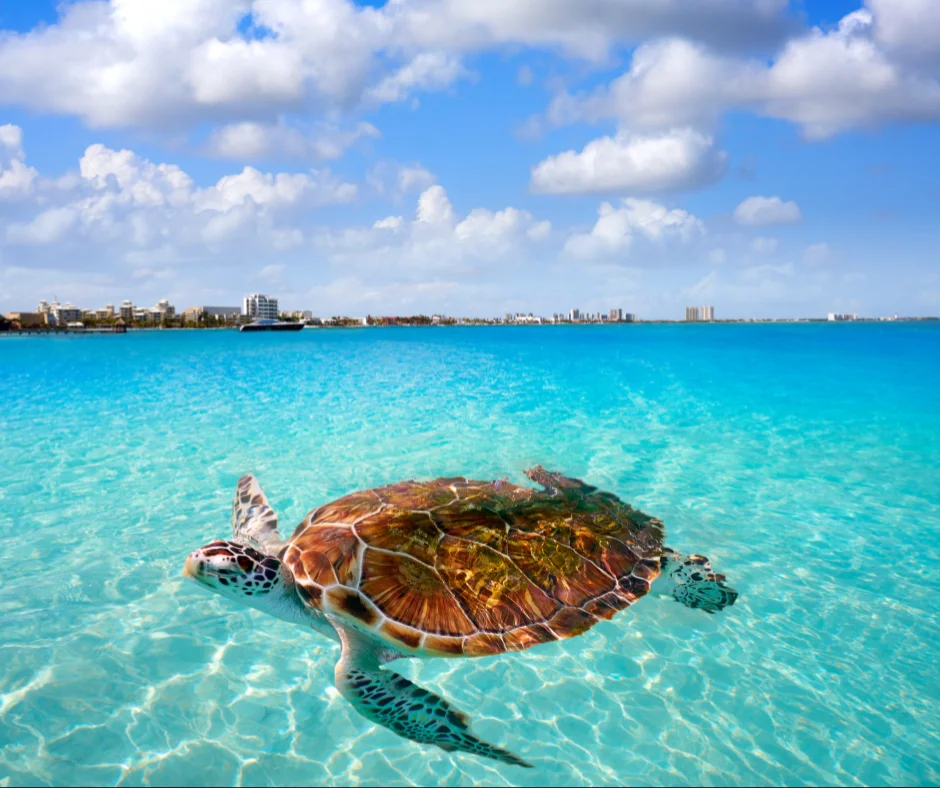 Cancún, el clima para este 6 de mayo.