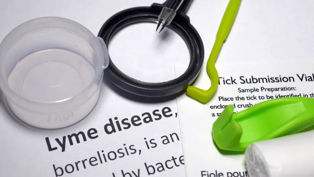 lyme