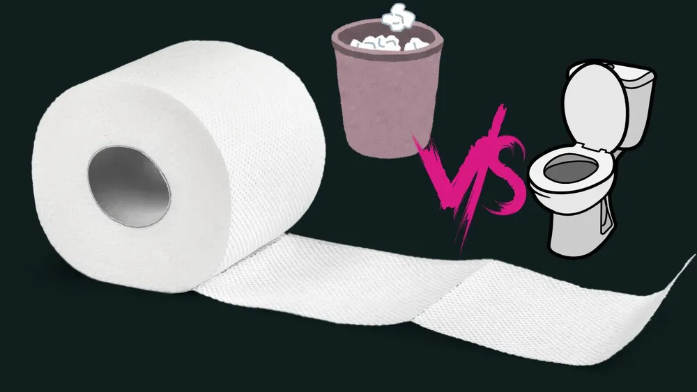 Papel higiénico en el bote o en inodoro