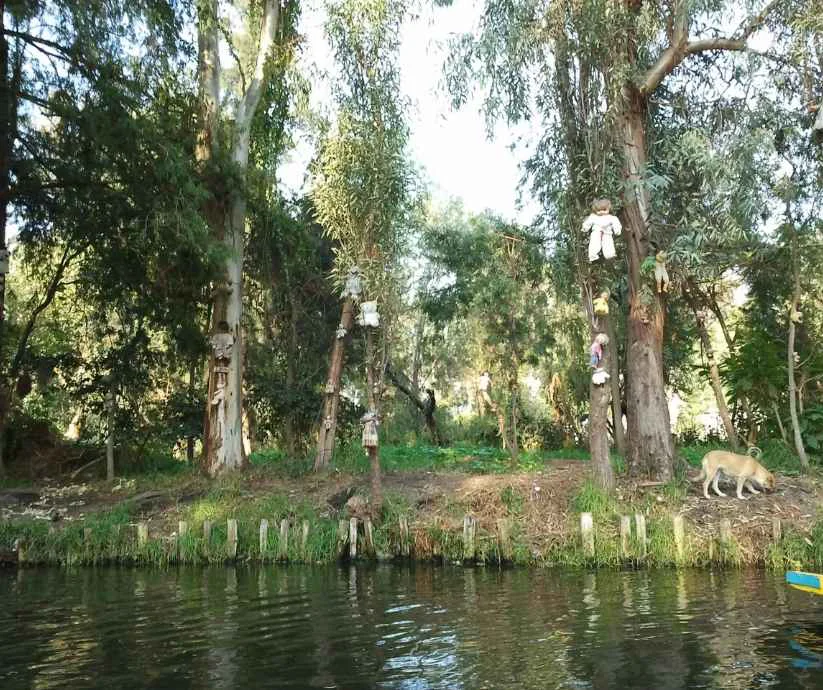 Vista de la Isla de las Muñecas desde los canales de Xochimilco.